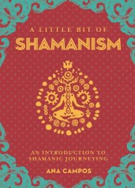 Campos |  A Little Bit of Shamanism | eBook | Sack Fachmedien