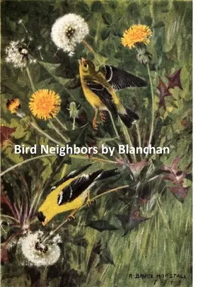 Blanchan |  Bird Neighbors | eBook | Sack Fachmedien