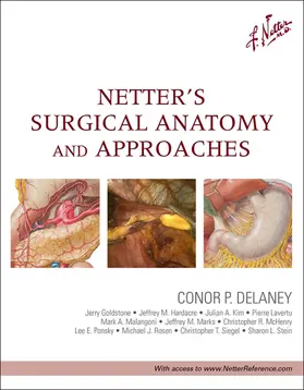  Netter's Surgical Anatomy and Approaches | eBook | Sack Fachmedien