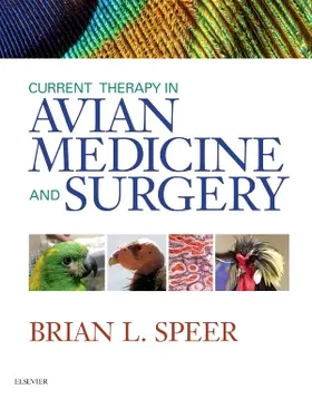 Speer |  Current Therapy in Avian Medicine and Surgery | Buch |  Sack Fachmedien