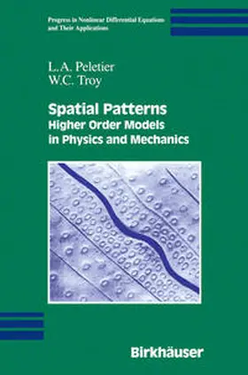 Peletier / Troy |  Spatial Patterns | eBook | Sack Fachmedien