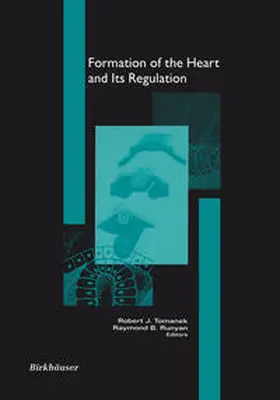 Tomanek / Runyan |  Formation of the Heart and its Regulation | eBook | Sack Fachmedien