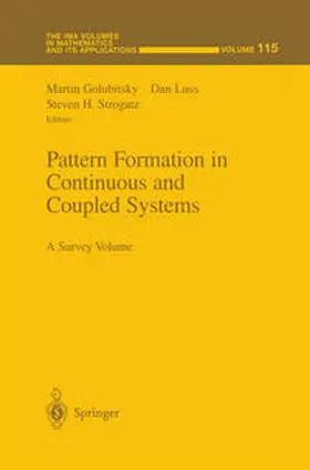 Golubitsky / Luss / Strogatz |  Pattern Formation in Continuous and Coupled Systems | eBook | Sack Fachmedien