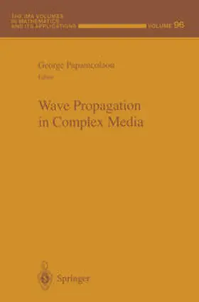 Papanicolaou |  Wave Propagation in Complex Media | eBook | Sack Fachmedien