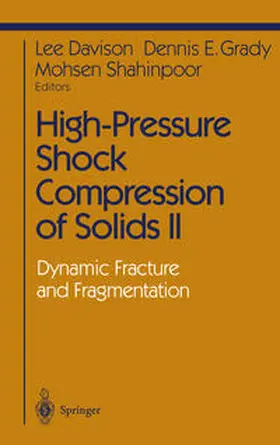 Davison / Grady / Shahinpoor |  High-Pressure Shock Compression of Solids II | eBook | Sack Fachmedien