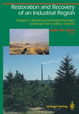 Gunn |  Restoration and Recovery of an Industrial Region | eBook | Sack Fachmedien