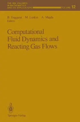 Engquist / Luskin / Majda |  Computational Fluid Dynamics and Reacting Gas Flows | eBook | Sack Fachmedien