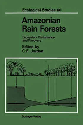 Jordan |  Amazonian Rain Forests | eBook | Sack Fachmedien