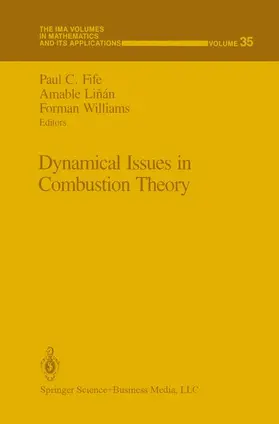 Fife / Linan / Williams |  Dynamical Issues in Combustion Theory | Buch |  Sack Fachmedien