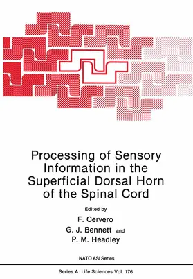 Cervero / Headley / Bennett |  Processing of Sensory Information in the Superficial Dorsal Horn of the Spinal Cord | Buch |  Sack Fachmedien