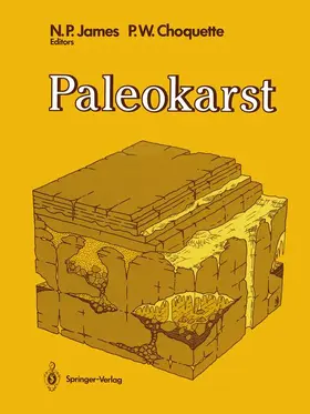 Choquette / James |  Paleokarst | Buch |  Sack Fachmedien