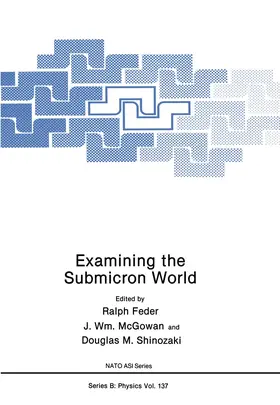 Feder / Shinozaki / McGowan |  Examining the Submicron World | Buch |  Sack Fachmedien
