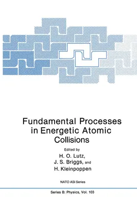 Lutz / Kleinpoppen / Briggs | Fundamental Processes in Energetic Atomic Collisions | Buch | 978-1-4613-3783-6 | sack.de