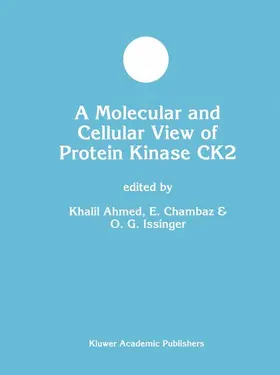 Ahmed / Chambaz / Issinger |  A Molecular and Cellular View of Protein Kinase CK2 | Buch |  Sack Fachmedien