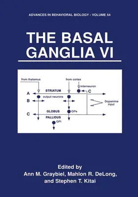 Graybiel / Kitai / Delong |  The Basal Ganglia VI | Buch |  Sack Fachmedien