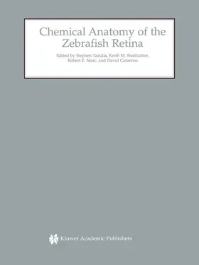 Yazulla / Cameron / Studholme |  Chemical Anatomy of the Zebrafish Retina | Buch |  Sack Fachmedien