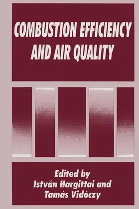 Vidóczy / Hargittai |  Combustion Efficiency and Air Quality | Buch |  Sack Fachmedien