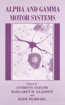 Durbaba / Taylor / Gladden |  Alpha and Gamma Motor Systems | Buch |  Sack Fachmedien