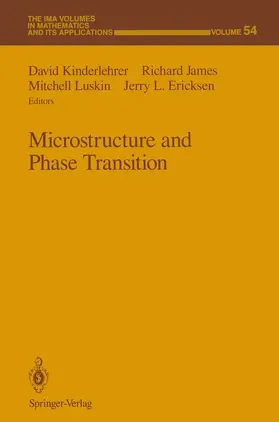 Kinderlehrer / James / Luskin |  Microstructure and Phase Transition | Buch |  Sack Fachmedien