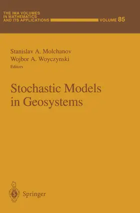 Woyczynski / Molchanov |  Stochastic Models in Geosystems | Buch |  Sack Fachmedien
