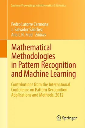 Latorre Carmona / Sánchez / Fred | Mathematical Methodologies in Pattern Recognition and Machine Learning | E-Book | sack.de