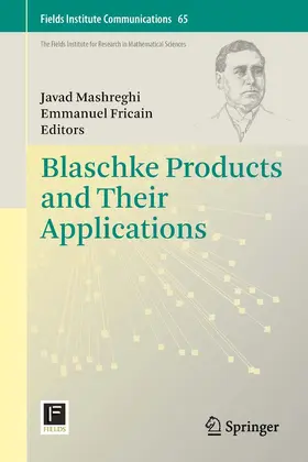 Mashreghi / Fricain |  Blaschke Products and Their Applications | eBook | Sack Fachmedien