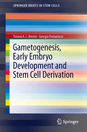 Brevini / GEORGIA |  Gametogenesis, Early Embryo Development and Stem Cell Derivation | eBook | Sack Fachmedien