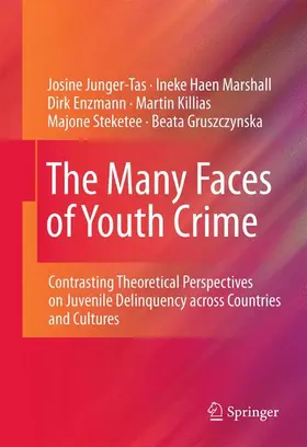 Junger-Tas / Marshall / Gruszczynska |  The Many Faces of Youth Crime | Buch |  Sack Fachmedien