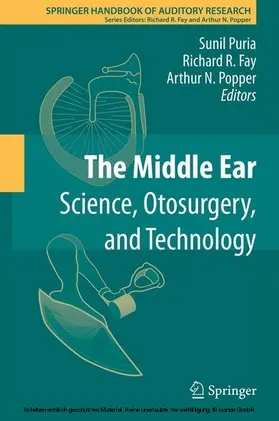 Puria / Fay / Popper |  The Middle Ear | eBook | Sack Fachmedien