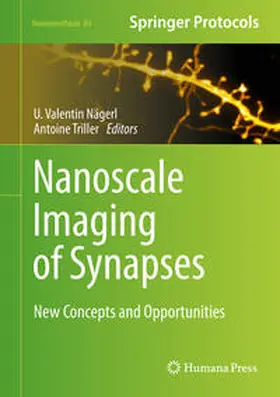Nägerl / Triller | Nanoscale Imaging of Synapses | E-Book | sack.de