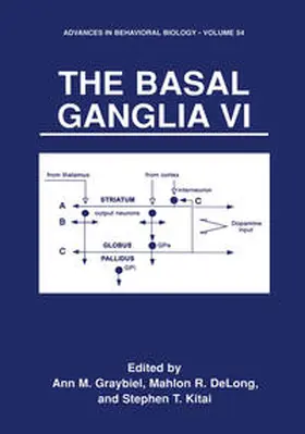 Graybiel / Delong / Kitai |  The Basal Ganglia VI | eBook | Sack Fachmedien