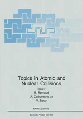 Remaud / Calboreanu / Zoran | Topics in Atomic and Nuclear Collisions | E-Book | sack.de