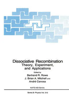 Rowe / Mitchell / Canosa | Dissociative Recombination | E-Book | sack.de