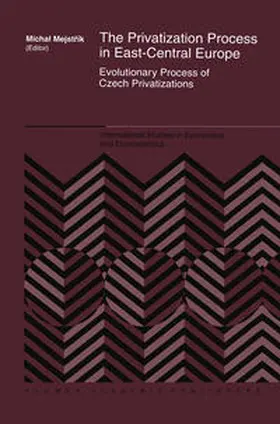 Mejstrík |  The Privatization Process in East-Central Europe | eBook | Sack Fachmedien