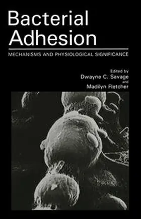 Fletcher / Savage |  Bacterial Adhesion | eBook | Sack Fachmedien