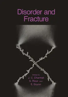 Charmet / Guyon / Roux |  Disorder and Fracture | eBook | Sack Fachmedien