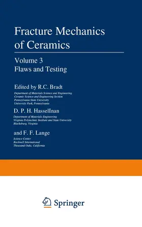 Bradt / Lange / Hasselman |  Flaws and Testing | Buch |  Sack Fachmedien