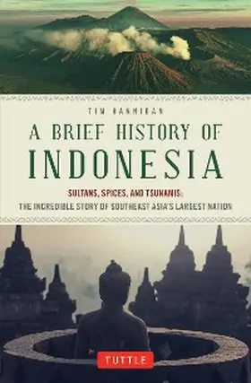 Hannigan |  Brief History of Indonesia | eBook | Sack Fachmedien