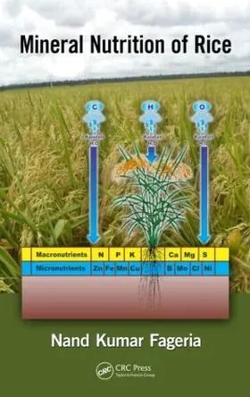 Fageria |  Mineral Nutrition of Rice | Buch |  Sack Fachmedien