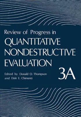 Thompson |  Review of Progress in Quantitative Nondestructive Evaluation | eBook | Sack Fachmedien