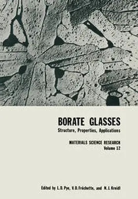 Pye / Fréchette / Kreidl |  Borate Glasses | eBook | Sack Fachmedien