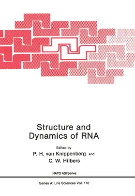 Hilbers / Knippenberg |  Structure and Dynamics of RNA | Buch |  Sack Fachmedien