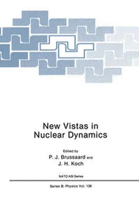 Brussaard / Koch |  New Vistas in Nuclear Dynamics | eBook | Sack Fachmedien