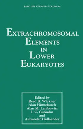 Wickner | Extrachromosomal Elements in Lower Eukaryotes | E-Book | sack.de
