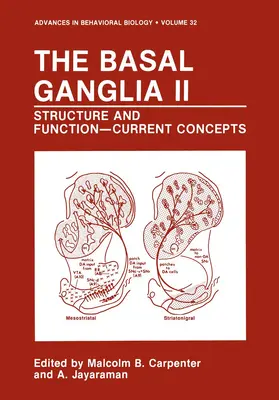 Jayaraman / Carpenter |  The Basal Ganglia II | Buch |  Sack Fachmedien