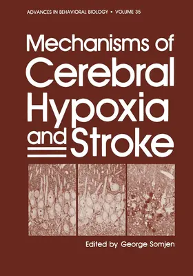 Somjen |  Mechanisms of Cerebral Hypoxia and Stroke | Buch |  Sack Fachmedien