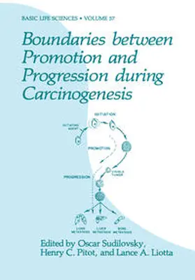 Sudilovsky / Pitot / Liotta | Boundaries between Promotion and Progression during Carcinogenesis | E-Book | sack.de