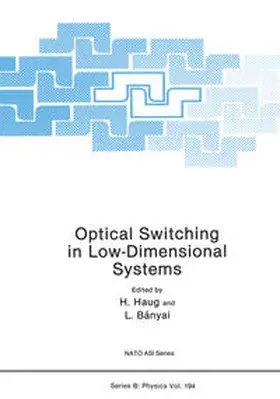 Haug / Banyai |  Optical Switching in Low-Dimensional Systems | eBook | Sack Fachmedien