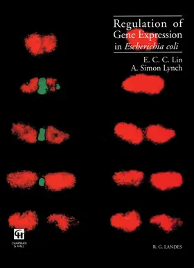 Lynch / Lin |  Regulation of Gene Expression in Escherichia coli | Buch |  Sack Fachmedien