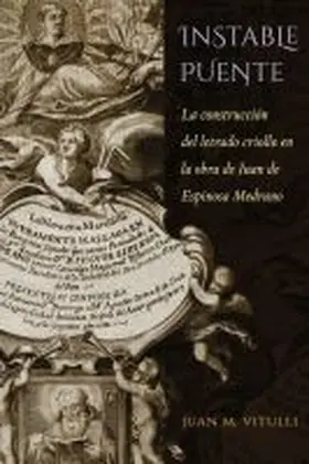 Vitulli |  Instable Puente | Buch |  Sack Fachmedien